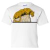 Ultra Cotton Youth T-Shirt Thumbnail
